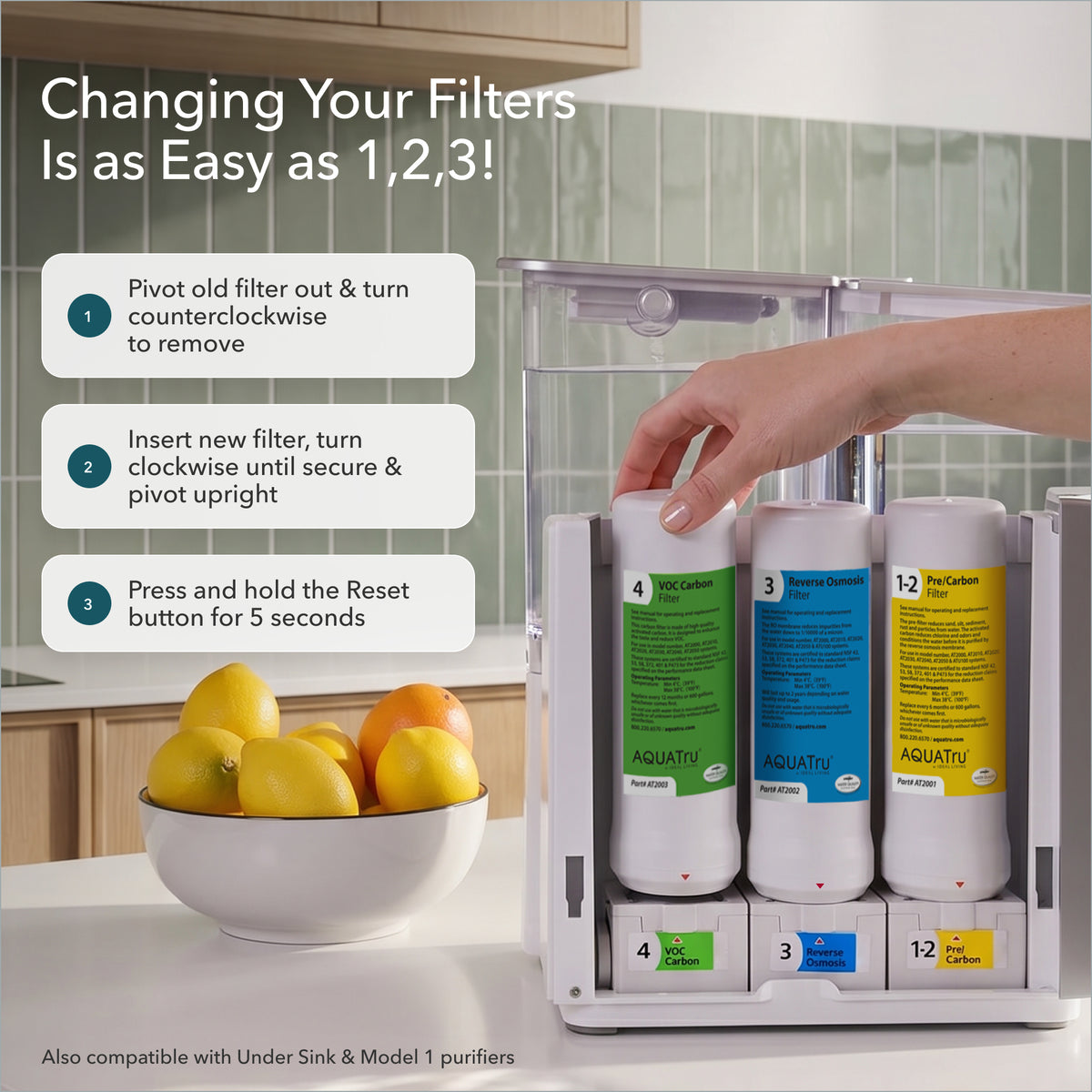 Water filter system with colorful replacement filters, instructions, and a bowl of lemons in the background.