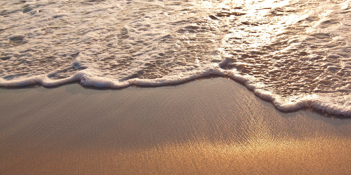 Ocean and coastline supported by AquaTru and Surfrider