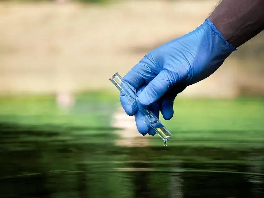National Water Quality Month: Water Pollution and How to Prevent It