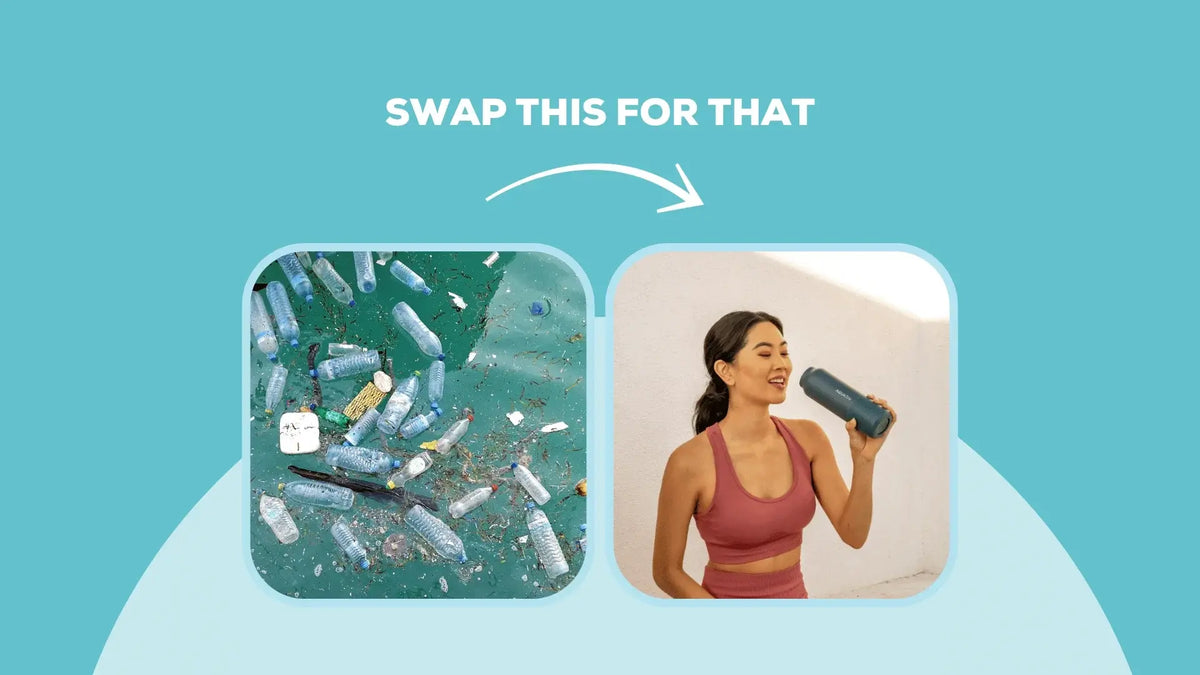 Eco-Chic Kitchen Makeover: AquaTru’s Guide to Sustainable Swaps