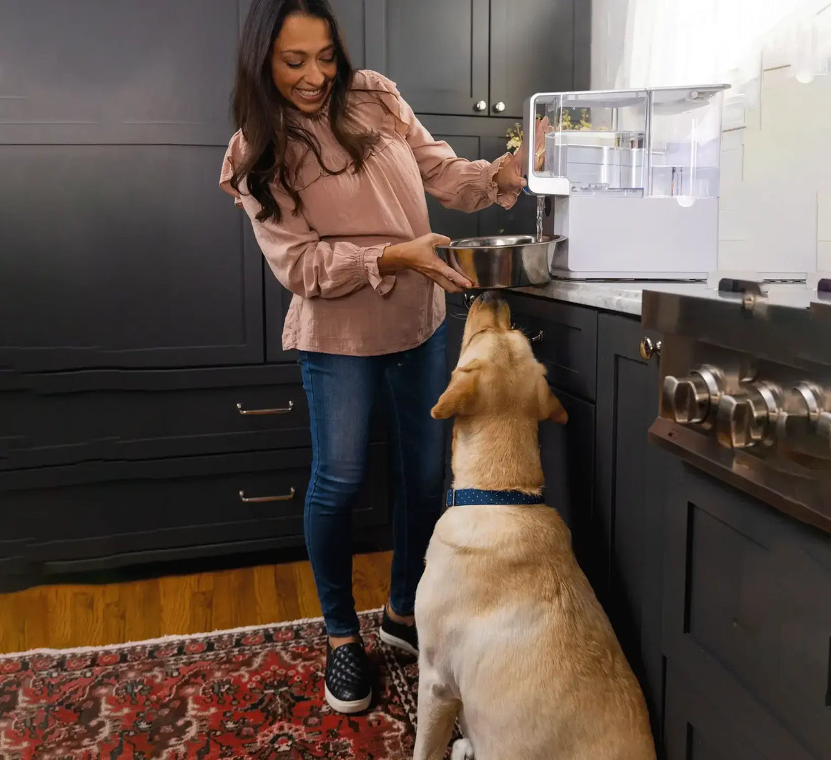 National Pet Day: Let’s Celebrate Our Furry Family Members