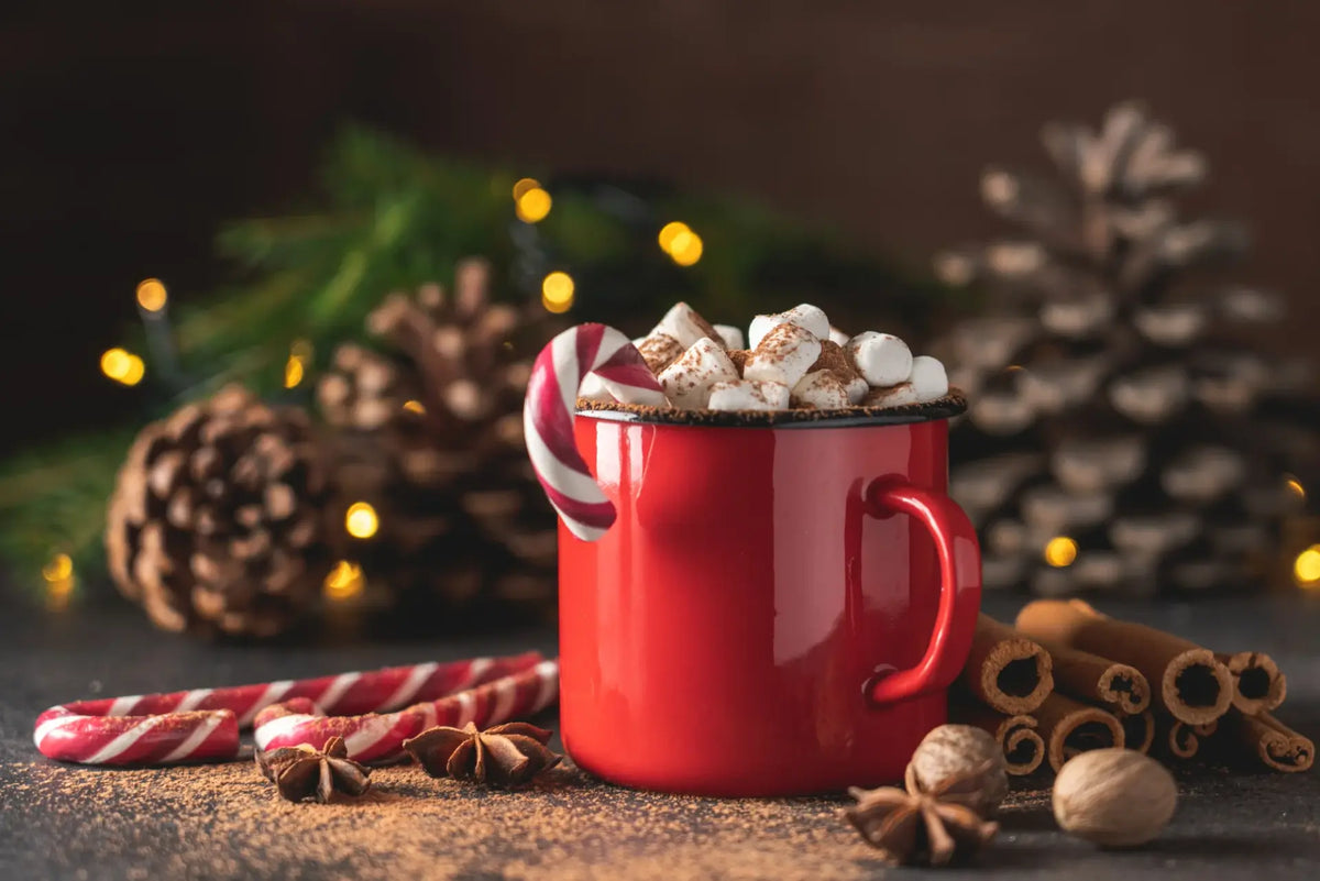 Red mug with hot chocolate and marshmallows, surrounded by Christmas decorations on a dark background.