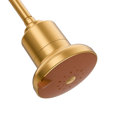 Golden Color Shower Head | AquaTru® Shower
