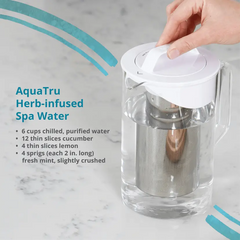 Carafe Tru-Infuser Lid | AquaTru®